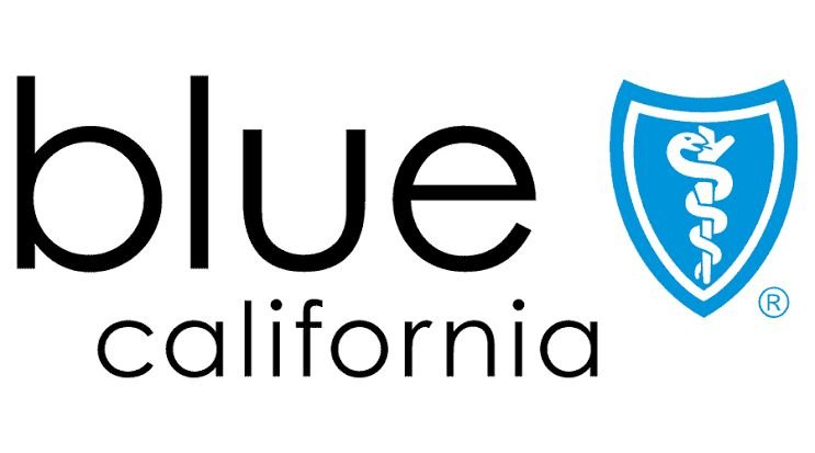 Blue-Shield.jpeg